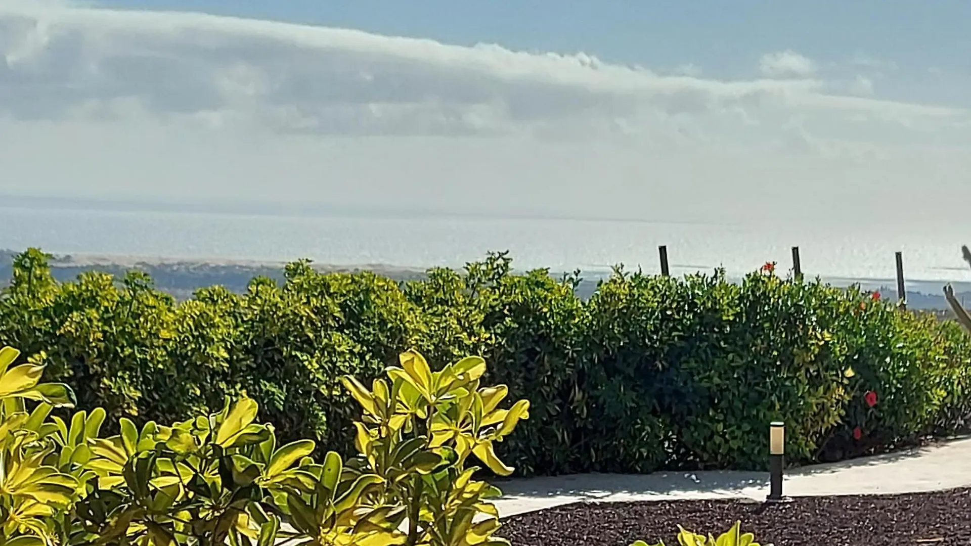 The Black Horse Canarias - Adults Only Maspalomas