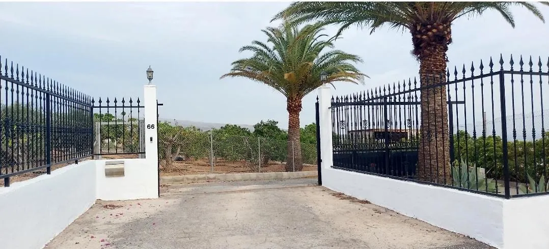 The Black Horse Canarias - Adults Only Maspalomas  0*, Maspalomas (Gran Canaria) Spanien